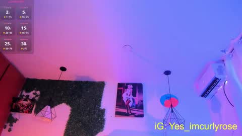 Snapshot of curlyrose_ chatting on 9, 9, 2025 Rose online show from 9, 9, 2025