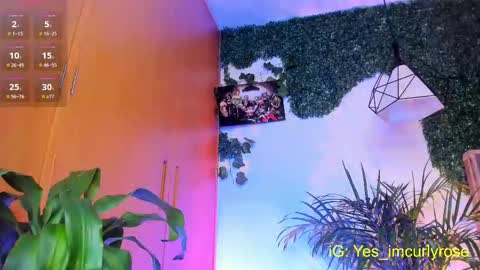 Snapshot of curlyrose_ chatting on 24, 9, 2025 Rose online show from 24, 9, 2025