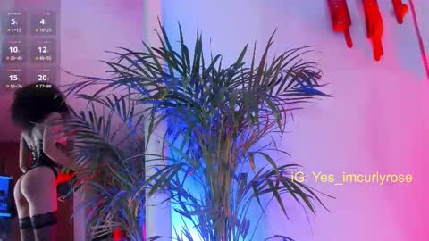 Snapshot of curlyrose_ chatting on 22, 11, 2025 Rose online show from 22, 11, 2025