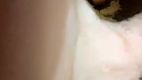 Snapshot of curvy24777 chatting on 15, 2, 2025 curvy24777 online show from 15, 2, 2025