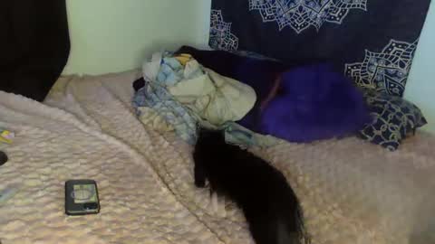 Snapshot of curvybcelinemixe chatting on 8, 2, 2025 Cline online show from 8, 2, 2025