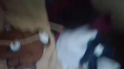 Snapshot of curvyplayday chatting on 4, 12, 2024 dahlia -kim online show from 4, 12, 2024