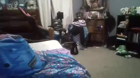 Snapshot of curvyplayday chatting on 24, 12, 2024 dahlia -kim online show from 24, 12, 2024