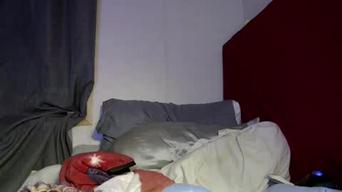 cuteteddybare online show from 12, 5, 2026