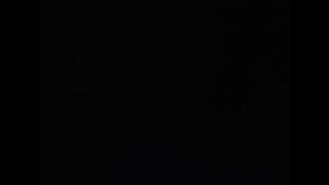 Neil Taylor online show from 20, 11, 2025