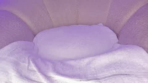 Snapshot of cutte_hanna18 chatting on 2, 12, 2025 Hannah online show from 2, 12, 2025