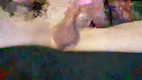 cwaddle online show from 27, 1, 2025