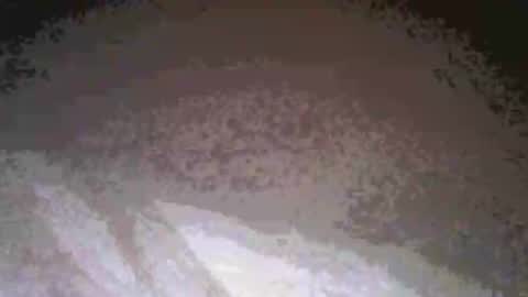 cwill27837 online show from 26, 2, 2026