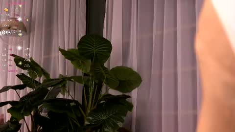 Ivy online show from 3, 7, 2026