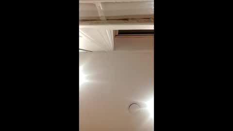 Snapshot of d1988 chatting on 7, 12, 2024 D online show from 7, 12, 2024