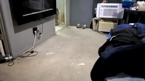 Snapshot of da941987 chatting on 2, 12, 2024 da941987 online show from 2, 12, 2024