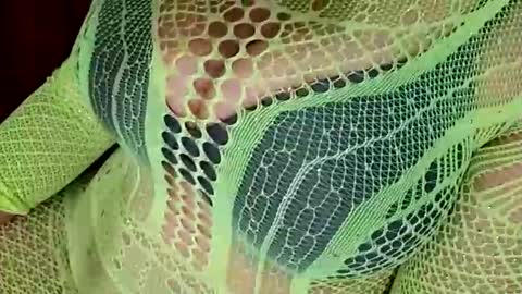 Daddett iS Wett online show from 31, 3, 2026