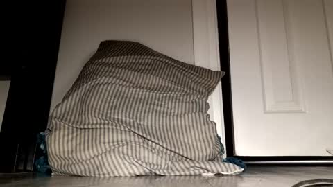 Snapshot of daddyplumber1 chatting on 21, 12, 2025 daddyplumber1 online show from 21, 12, 2025