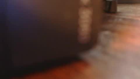 daddysmalls online show from 6, 2, 2026