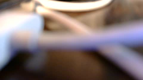 Snapshot of daddysmalls_55 chatting on 6, 7, 2026 daddysmalls online show from 6, 7, 2026