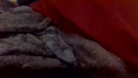 daddywhite88 online show from 14, 1, 2026