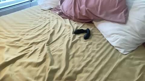 Snapshot of dadstrokin chatting on 8, 3, 2026 dadstrokin online show from 8, 3, 2026