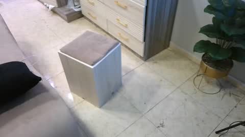 Deffa online show from 23, 2, 2025