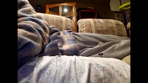 Snapshot of dailyjerker84 chatting on 1, 3, 2025 DailyJerker84 online show from 1, 3, 2025