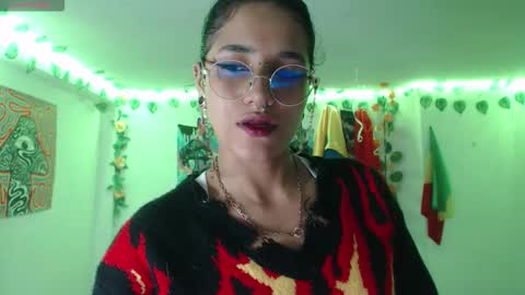 Dakko online show from 3, 3, 2026