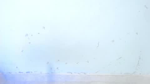 VALENTINA  online show from 16, 10, 2025