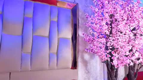 Dakota online show from 28, 3, 2026