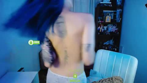 Maca online show from 17, 12, 2024