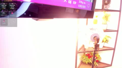 Snapshot of dakotadesire_10 chatting on 17, 2, 2026 Sammy online show from 17, 2, 2026