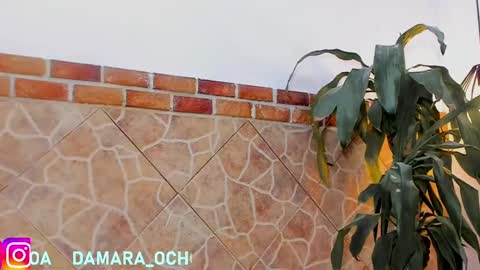         online show from 22, 2, 2025