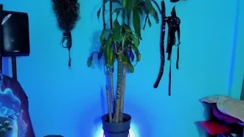 Snapshot of damian_torner chatting on 28, 10, 2025 Damian torner online show from 28, 10, 2025