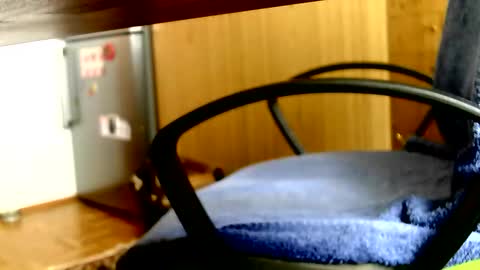 Dammerl online show from 3, 4, 2026