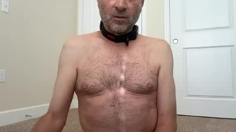Snapshot of dan4002 chatting on 18, 6, 2026 slave being trained online show from 18, 6, 2026