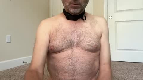 Snapshot of dan4002 chatting on 20, 6, 2026 slave being trained online show from 20, 6, 2026