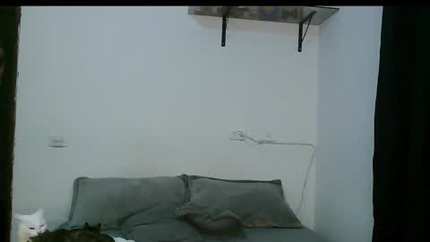 Snapshot of dan_yagami chatting on 5, 3, 2025 Dan and Noah online show from 5, 3, 2025