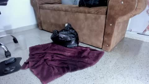 Snapshot of danaarey chatting on 5, 2, 2025 Danaa Rey online show from 5, 2, 2025