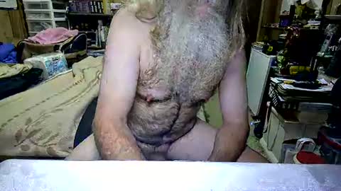 Snapshot of danagm chatting on 23, 11, 2025 Dana online show from 23, 11, 2025