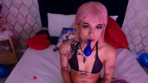 Dan  online show from 5, 12, 2024