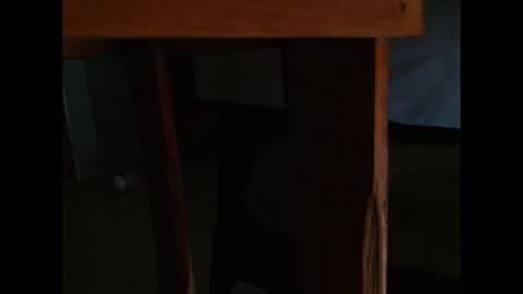 dangerhook online show from 24, 11, 2025