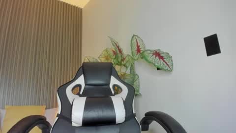 Dania online show from 29, 11, 2025