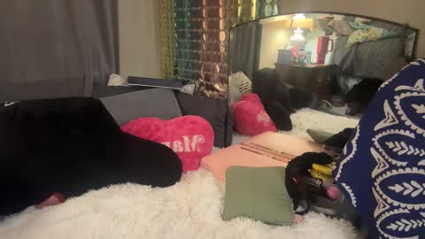 Dani Dragon online show from 5, 2, 2025