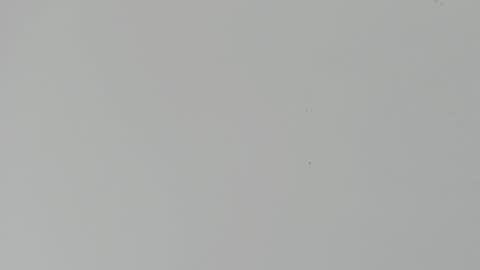 daniel_kingxxx online show from 2, 3, 2026