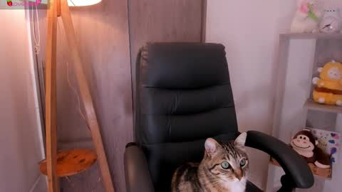 Snapshot of daniellerose_ chatting on 2, 11, 2025 Danielle Rose online show from 2, 11, 2025