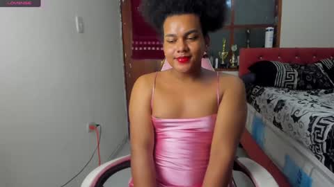 dani online show from 21, 12, 2024
