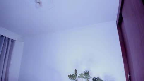 Snapshot of danna_stewart chatting on 30, 12, 2024 Paulina online show from 30, 12, 2024