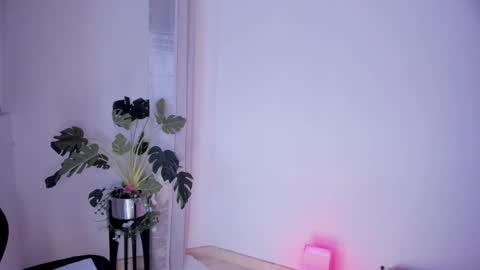 Snapshot of danna_stewart chatting on 2, 3, 2025 Paulina online show from 2, 3, 2025