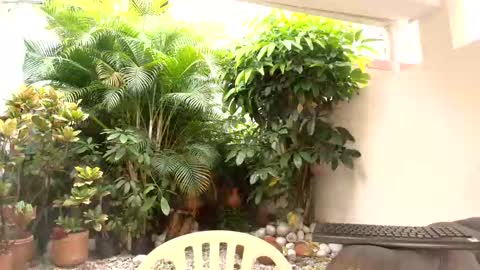 Dannamunoz130 online show from 12, 10, 2025