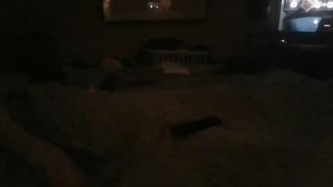 Danielle online show from 24, 12, 2024