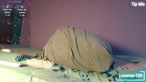 dante_bear online show from 27, 11, 2025