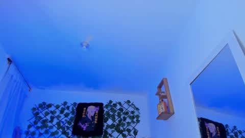 dante_cooper_0 online show from 12, 12, 2024