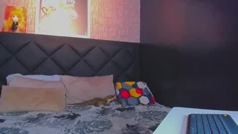 Dany online show from 11, 11, 2025